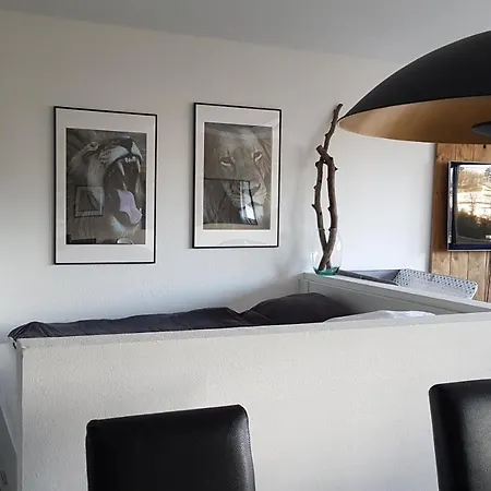 Apartman Cozy Freedom Snow Bike Hike Enjoy 200mbit Winterberg