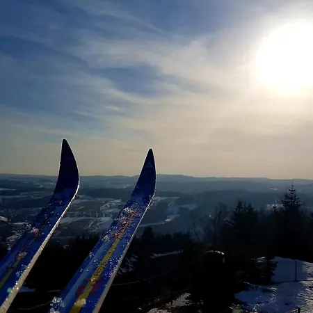 Apartman Cozy Freedom Snow Bike Hike Enjoy 200mbit Winterberg