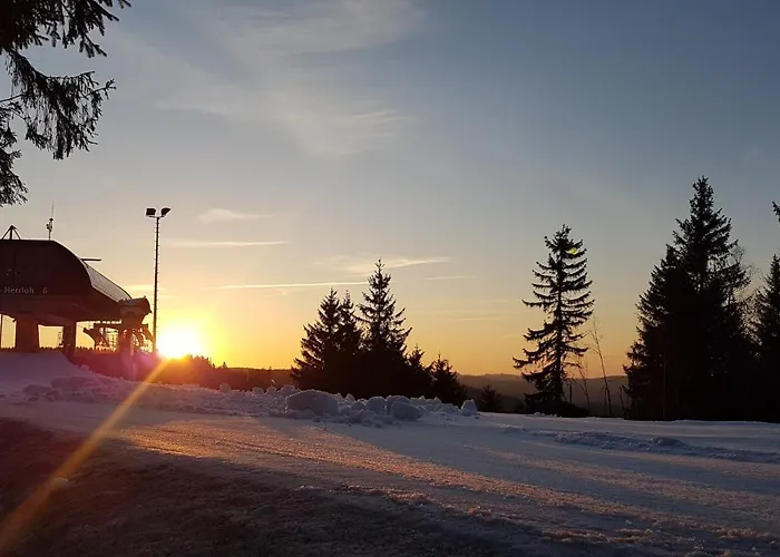 아파트 Cozy Freedom Snow Bike Hike Enjoy 200mbit *