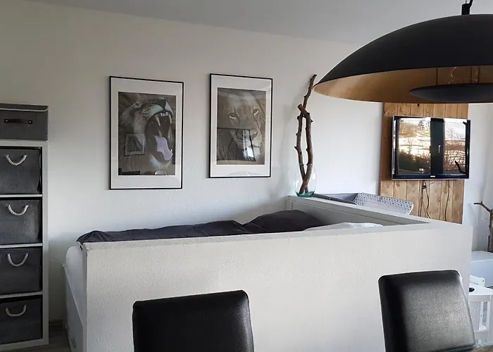 Апартаменты Cozy Freedom Snow Bike Hike Enjoy 200mbit Винтерберг